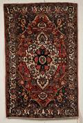 Bahktiari Rug