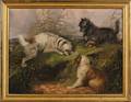 Manner of George Armfield British b circa 18081893 Terriers Ratting