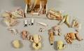 Group of Small Doll Parts