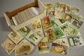 Approximately 250 Early 20th Century Easter and Twenty St Patricks Day Postcards