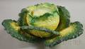 Large French Majolica Glazed Cabbageform Tureen with Cover