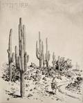 George Elbert Burr American 18591939 Road to Apache Reservation  Arizona