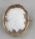Antique 14kt Gold and Shell Cameo Brooch