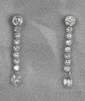 Platinum and Diamond Earpendants