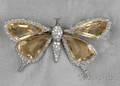 Edwardian Citrine and Diamond Butterfly Brooch