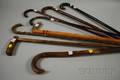 Eight Assorted Canes