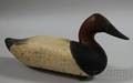 Canvasback Decoy
