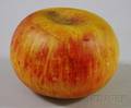 Large Carved and Painted Marble Apple