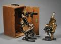 Two Compound Microscopes