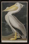 Audubon John James 17851851