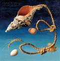 Lodewijk Karel Bruckman DutchAmerican 19131980 Shell Rope and Eggs