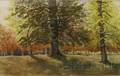 European School 19th20th Century Autumn Trees