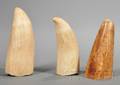 Two Undecorated Whales Teeth and the Tip of an Elephant Ivory Tusk