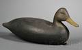 Black Duck Decoy