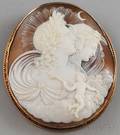 10kt Goldframed Shellcarved Cameo Brooch