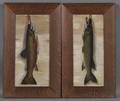 Walter L Steward American Early 20th Century Pair of Fish Portraits Brook Trout