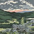 Neil Welliver American 19292005 Briggs Meadow