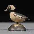 Miniature Bufflehead