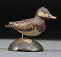 Miniature Ruddy Duck