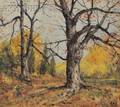 Henry Hammond Ahl American 18691953 Late Autumn