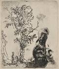 Rembrandt van Rijn Dutch 16061669 Sheet with Two Studies A Tree and the Upper Part of a Head of the Artist Wearing a Velvet Ca