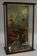 Late Victorian Nine Bird Diorama