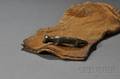 Southwest Carved Stone Wolf Fetish and Historic Deer Skin Pouch