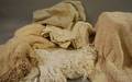 Six Very Fine Antique Lace and Crocheted Bedspreads and Coverlets