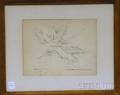 Framed 19th Century Ink Calligraphic Work on Paper