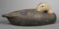 Sleeping Black Duck Decoy