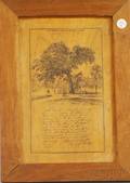 The Great Elm of Boston Common Commemorative Printed Wooden Plaque