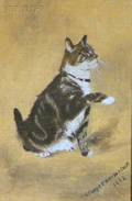 Gladys Emerson Cook American b 1899 The Tabby