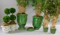 Two Pairs of Green Glazed Ceramic Planters with Faux Bamboo and a Pair of Georges Briard Porcelain Cache Pots with Faux Topiary