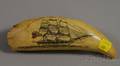 Scrimshaw Decorated Whales Tooth