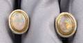 Antique 18kt Gold Opal and Enamel Earrings