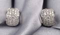 Platinum and Diamond Earrings