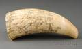 Scrimshaw Whales Tooth