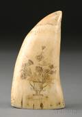 Scrimshaw Whales Tooth with Engraved Urn of Flowers Decoration