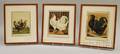 Three Framed Chromolithograph Rooster Book Plates