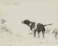 Frank Weston Benson American 18621951 Pointer Dog
