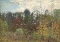 John Joseph Enneking American 18411916 The Summer Forest
