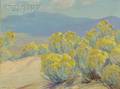 Sheldon Parsons American 18661943 Desert Bloom