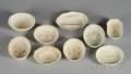 Nine Wedgwood Queens Ware Culinary Molds