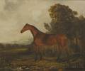 British School 19th Century Portrait of the Horse Vesta