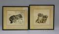 Two Framed Etchings Depicting a Kitten with a Fly and a Pair of Dogs