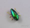 Gold and Green Glass Beetle Brooch