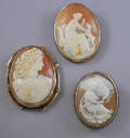 Three Shellcarved Cameo Brooches
