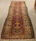 Northwest Persian Runner