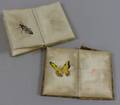 Two Small Chinese Albums with Painted Insects