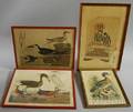 Four Framed Bird Prints